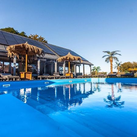 Royal Palm Mielno Villa Mielno  Exteriör bild